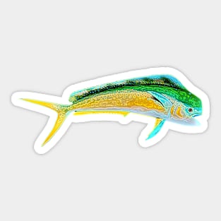 Mahi Mahi Line Art Design Sticker